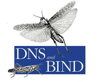 dns_bind